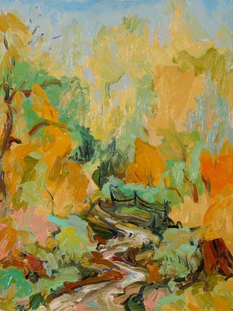 Marius Starkey, forest near Taos, New Mexico.