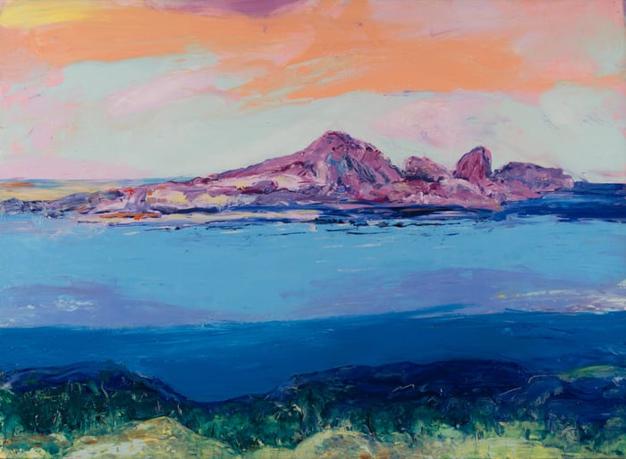 Untitled, oil on canvas, by Marius Starkey